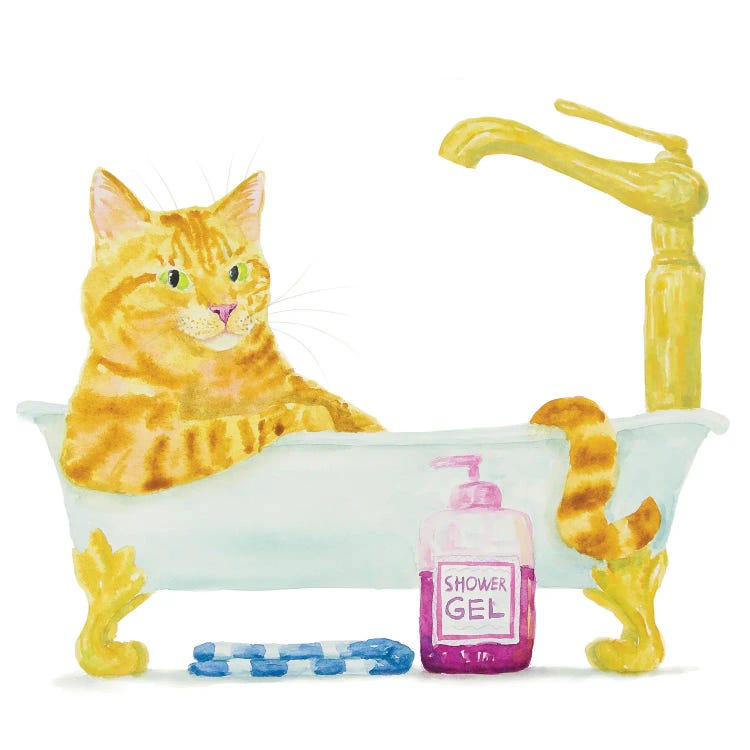 Orange Cat In The Tub