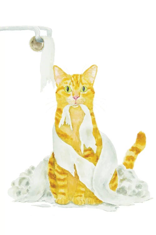 Orange Cat And Toilet Paper