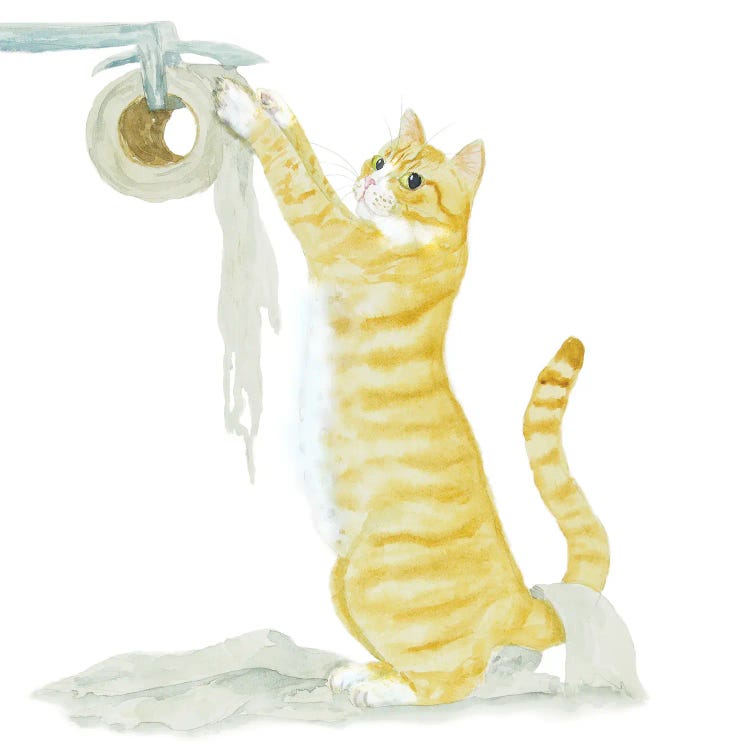 Orange White Cat And Toilet Paper