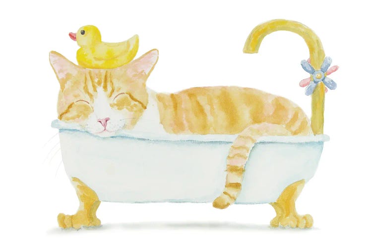 Orange White Cat In The Tub