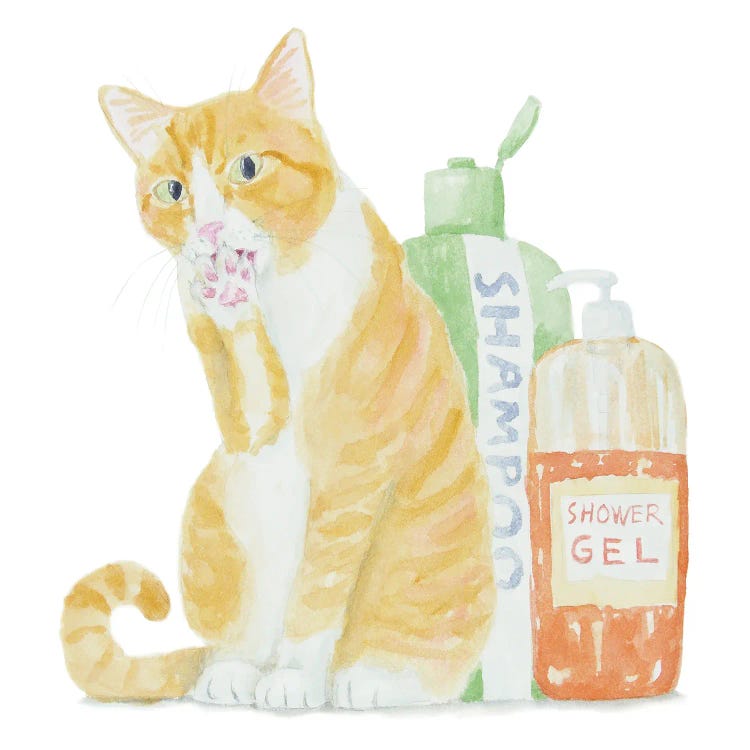 Orange White Cat With Shampoo