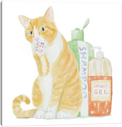 Orange White Cat With Shampoo Canvas Art Print - Orange Cat Art
