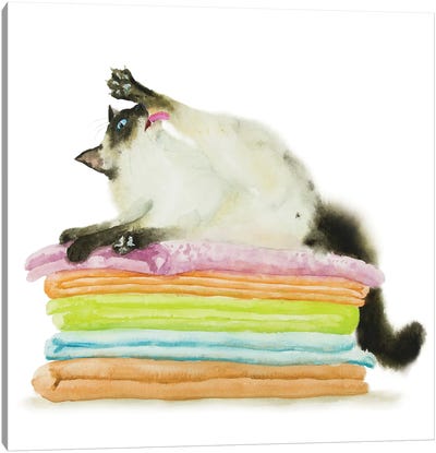 Siamese Ragdoll Cat On Towels Canvas Art Print - Laundry Room Art