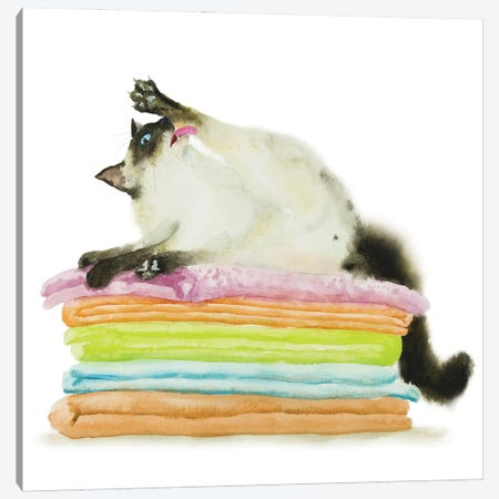 Siamese Ragdoll Cat On Towels Canvas Print #AXS120} by Alexey Dmitrievich Shmyrov Canvas Print