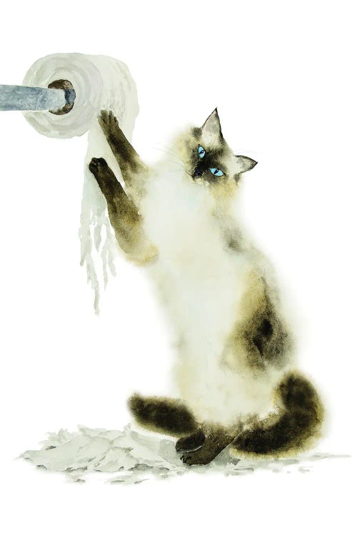 Siamese Ragdoll Cat And Toilet Paper by Alexey Dmitrievich Shmyrov wall art