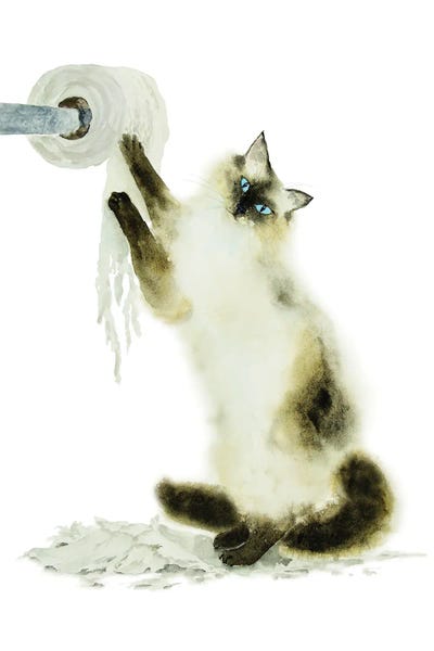 Bathroom Break: Siamese Ragdoll Cat And Toilet Paper by Alexey Dmitrievich Shmyrov