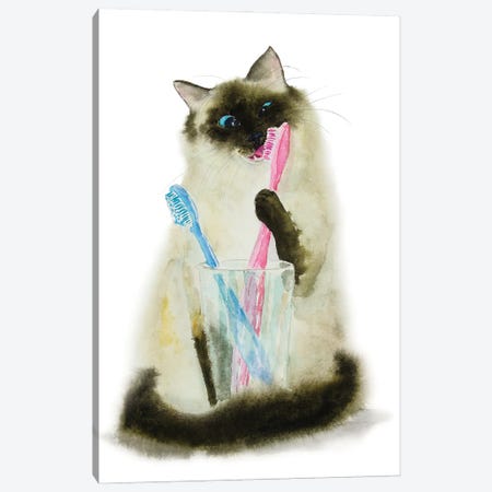 Siamese Ragdoll Cat And toothbrushes Canvas Print #AXS122} by Alexey Dmitrievich Shmyrov Canvas Print