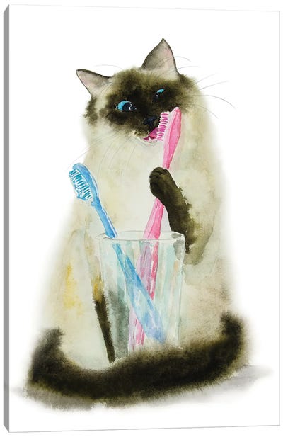 Siamese Ragdoll Cat And toothbrushes Canvas Art Print - Alexey Dmitrievich Shmyrov