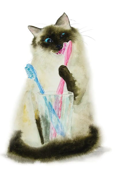 Bathroom Break: Siamese Ragdoll Cat And toothbrushes by Alexey Dmitrievich Shmyrov
