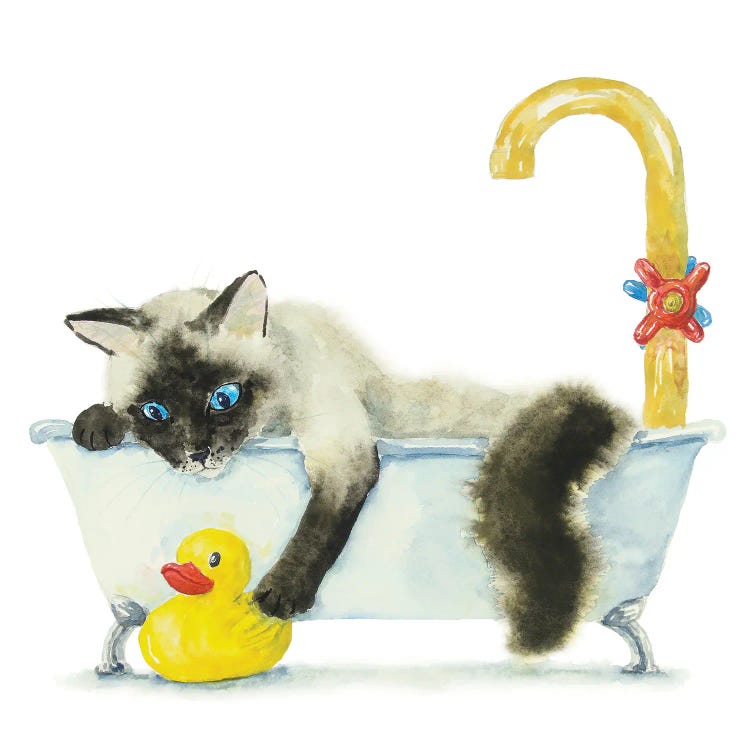 Siamese Ragdoll Cat In The Tub by Alexey Dmitrievich Shmyrov wall art