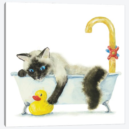 Siamese Ragdoll Cat In The Tub Canvas Print #AXS123} by Alexey Dmitrievich Shmyrov Art Print