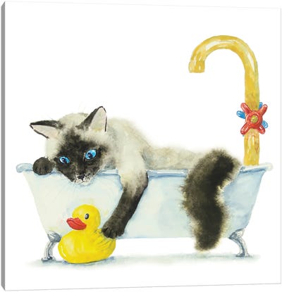 Siamese Ragdoll Cat In The Tub Canvas Art Print - Bathroom Break
