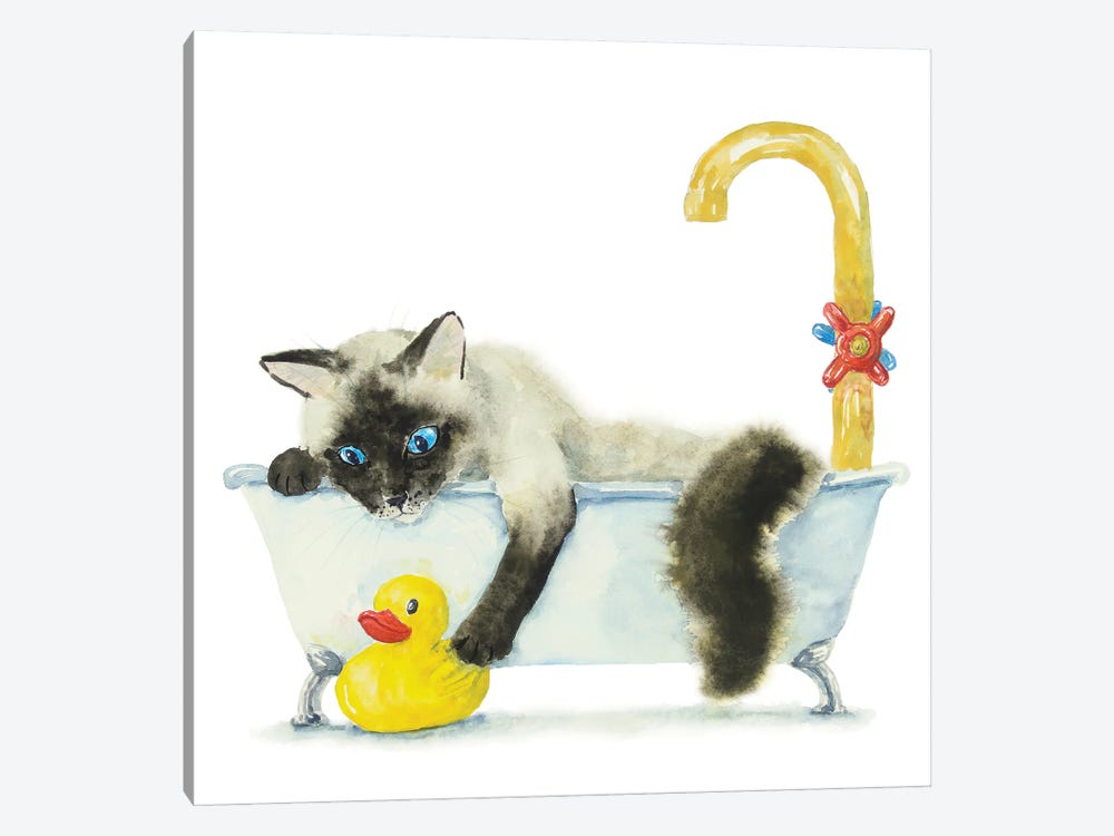 Siamese Ragdoll Cat In The Tub by Alexey Dmitrievich Shmyrov 1-piece Canvas Art Print