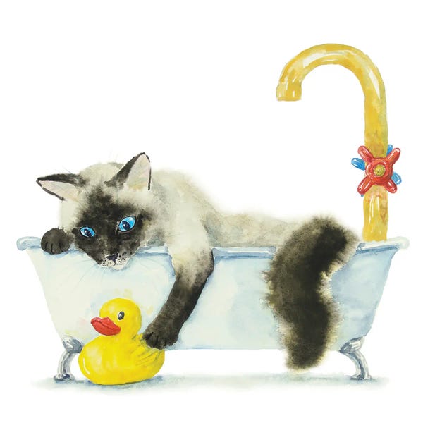 Bathroom Break: Siamese Ragdoll Cat In The Tub by Alexey Dmitrievich Shmyrov