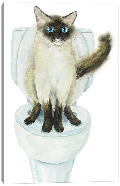 Siamese Ragdoll Cat On The Toilet Canvas Art Print - Bathroom Humor Art