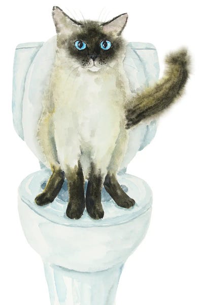Siamese: Siamese Ragdoll Cat On The Toilet by Alexey Dmitrievich Shmyrov