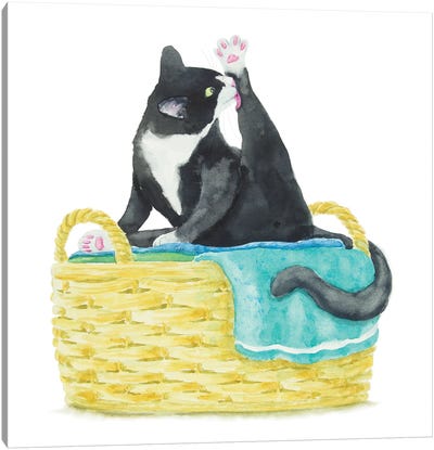 Tuxedo Cat On The Towels Canvas Art Print