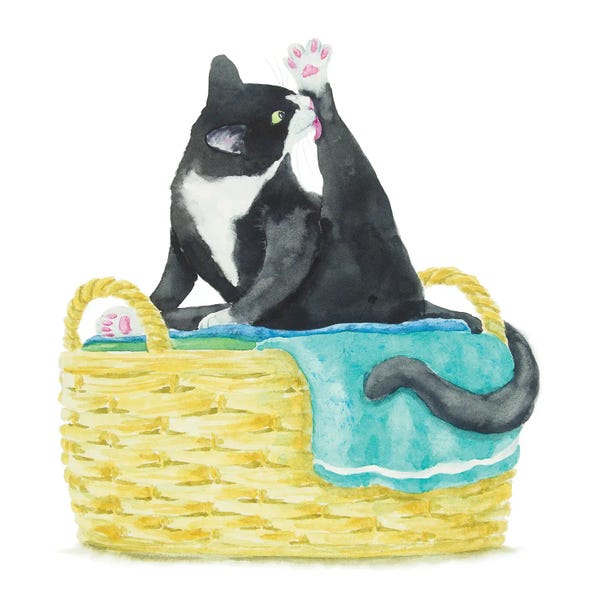 Tuxedo Cats: Tuxedo Cat On The Towels by Alexey Dmitrievich Shmyrov