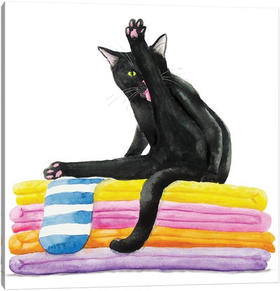 Black Cat On Bath Towels Canvas Art Print - Laundry Room Art