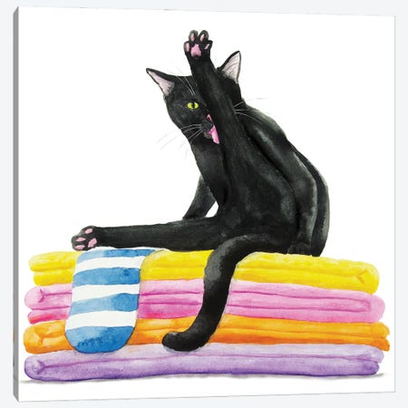 Black Cat On Bath Towels Canvas Print #AXS12} by Alexey Dmitrievich Shmyrov Canvas Art Print