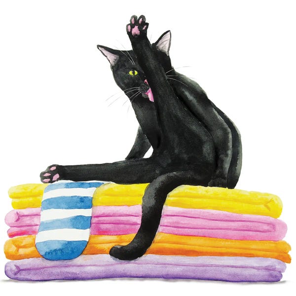 Bathroom Break: Black Cat On Bath Towels by Alexey Dmitrievich Shmyrov