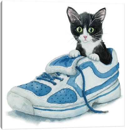 Tuxedo Kitten In A Shoe Canvas Art Print - Kitten Art