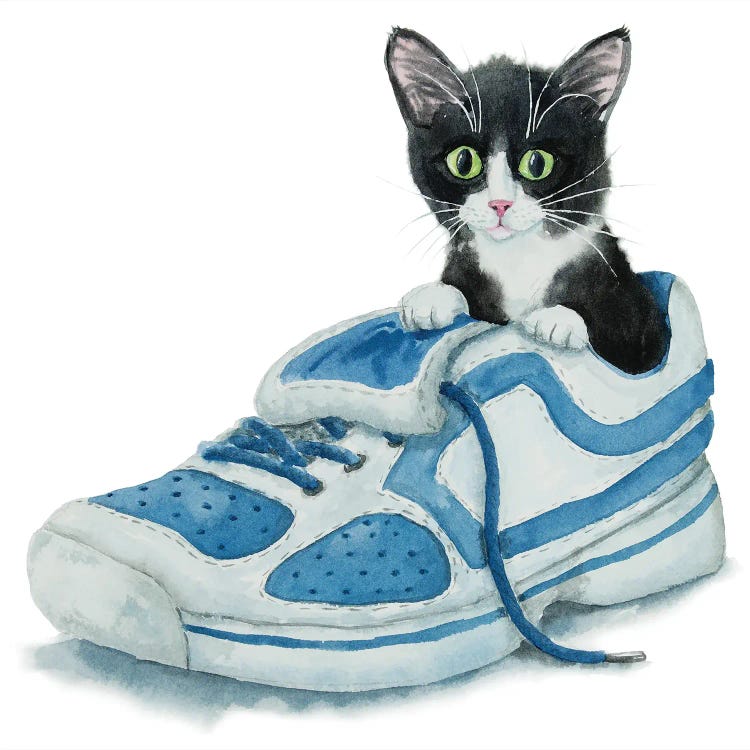 Tuxedo Kitten In A Shoe by Alexey Dmitrievich Shmyrov wall art