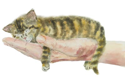 Kitten On Hand by Alexey Dmitrievich Shmyrov art print