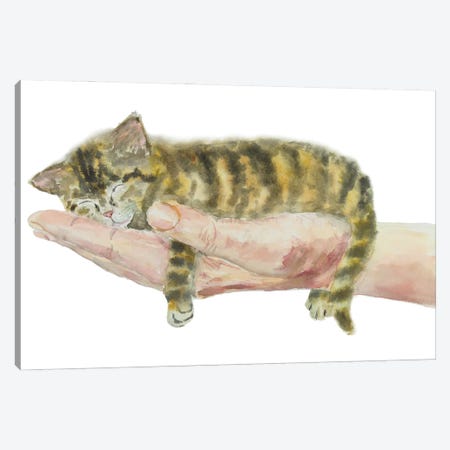 Kitten On Hand Canvas Print #AXS131} by Alexey Dmitrievich Shmyrov Canvas Wall Art