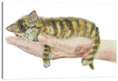 Kitten On Hand Canvas Art Print - Alexey Dmitrievich Shmyrov