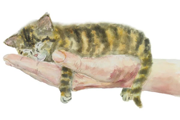 Kittens: Kitten On Hand by Alexey Dmitrievich Shmyrov