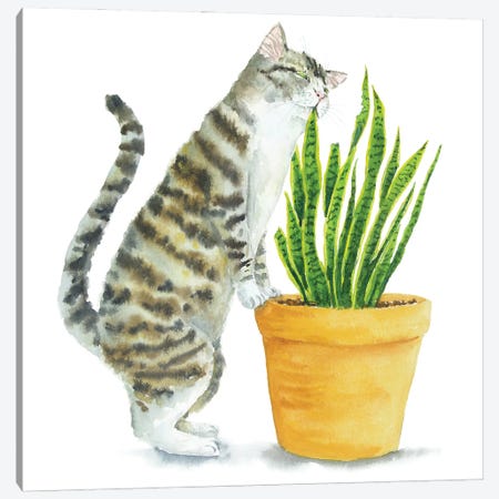 Tabby Cat And Home Plants Canvas Print #AXS132} by Alexey Dmitrievich Shmyrov Canvas Artwork