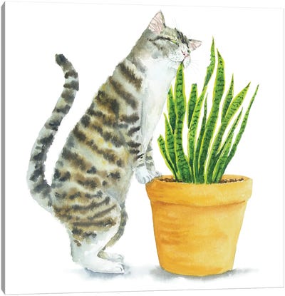 Tabby Cat And Home Plants Canvas Art Print - Office Humor