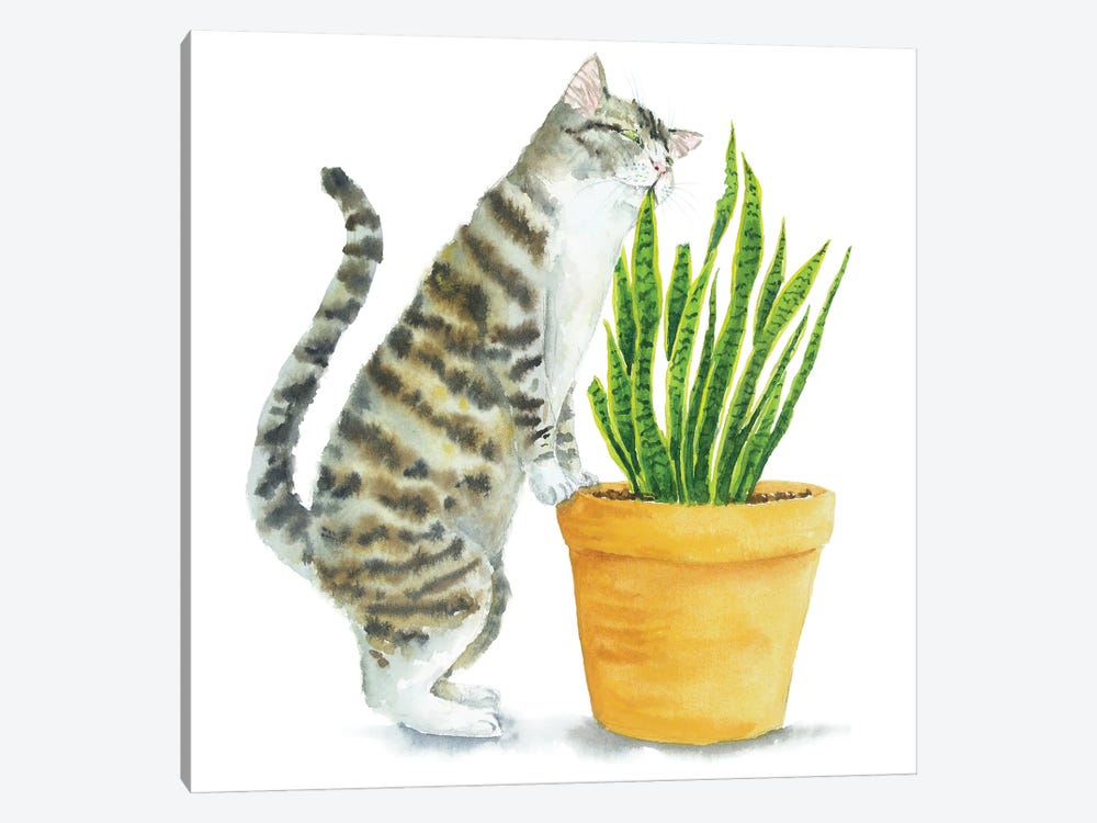 Tabby Cat And Home Plants by Alexey Dmitrievich Shmyrov 1-piece Art Print