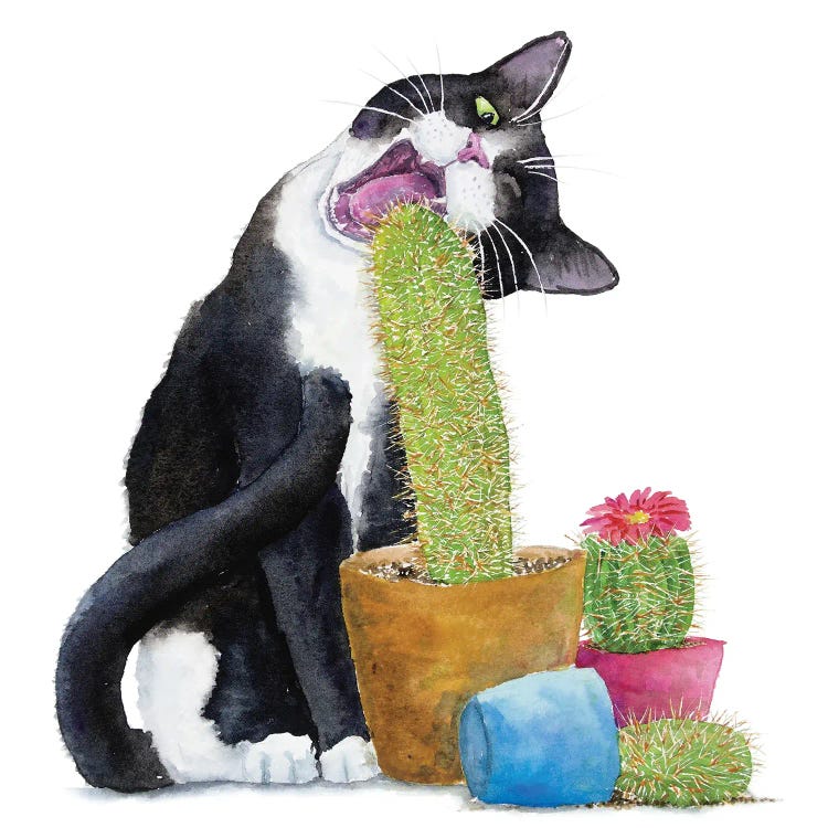 Tuxedo Cat And Cactus