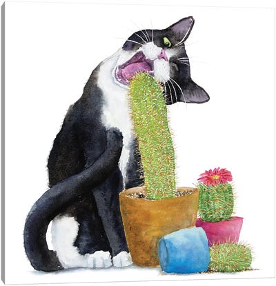 Tuxedo Cat And Cactus Canvas Art Print - Tuxedo Cat Art