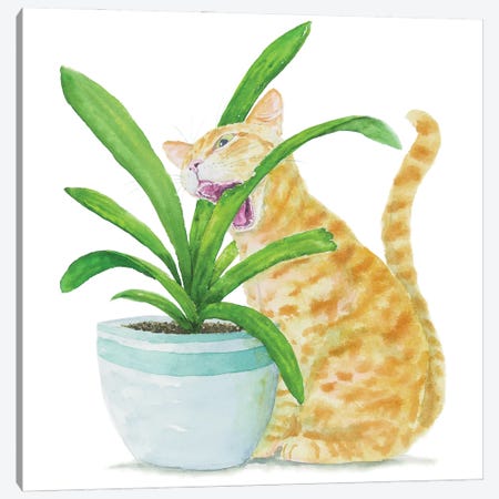 Orange Cat And Home Plants Canvas Print #AXS134} by Alexey Dmitrievich Shmyrov Art Print