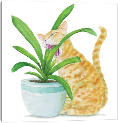 Orange Cat And Home Plants Canvas Art Print - Orange Cat Art