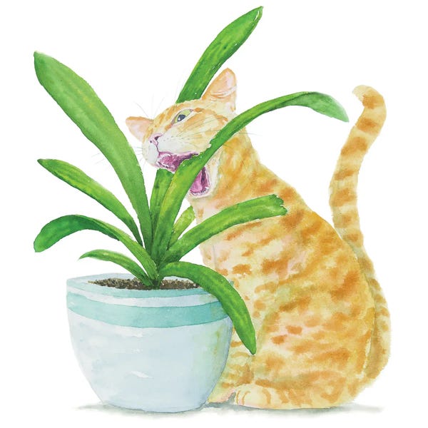 Office Humor: Orange Cat And Home Plants by Alexey Dmitrievich Shmyrov