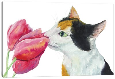 Calico Cat And Tulips Canvas Art Print - Tulip Art