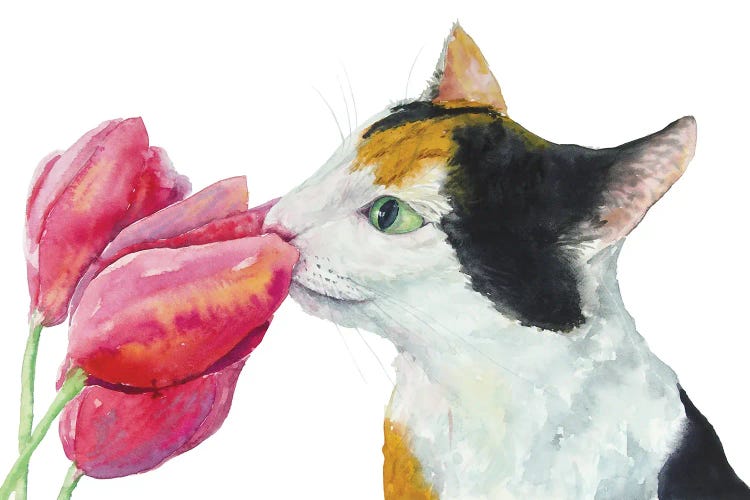 Calico Cat And Tulips
