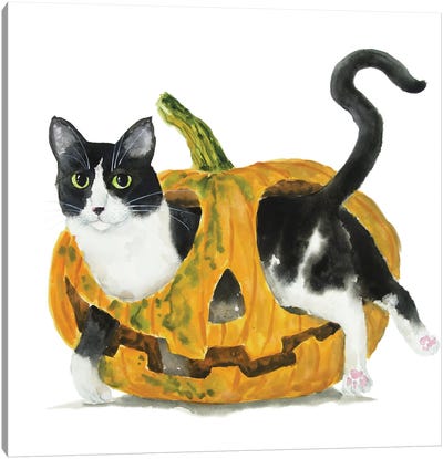 Tuxedo Cat In A Pumpkin Canvas Art Print - Pumpkins