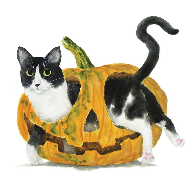 Tuxedo Cat In A Pumpkin by Alexey Dmitrievich Shmyrov wall art