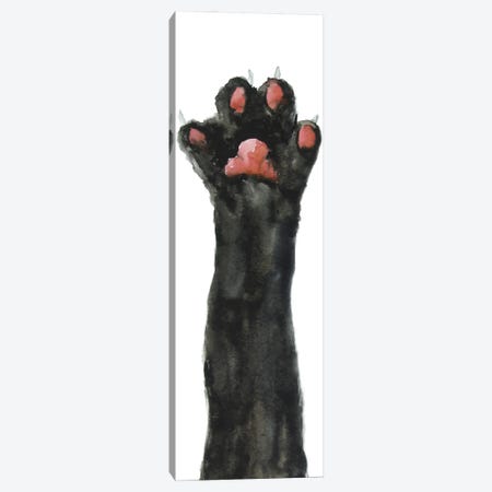 Black Cat Paw Canvas Print #AXS13} by Alexey Dmitrievich Shmyrov Art Print