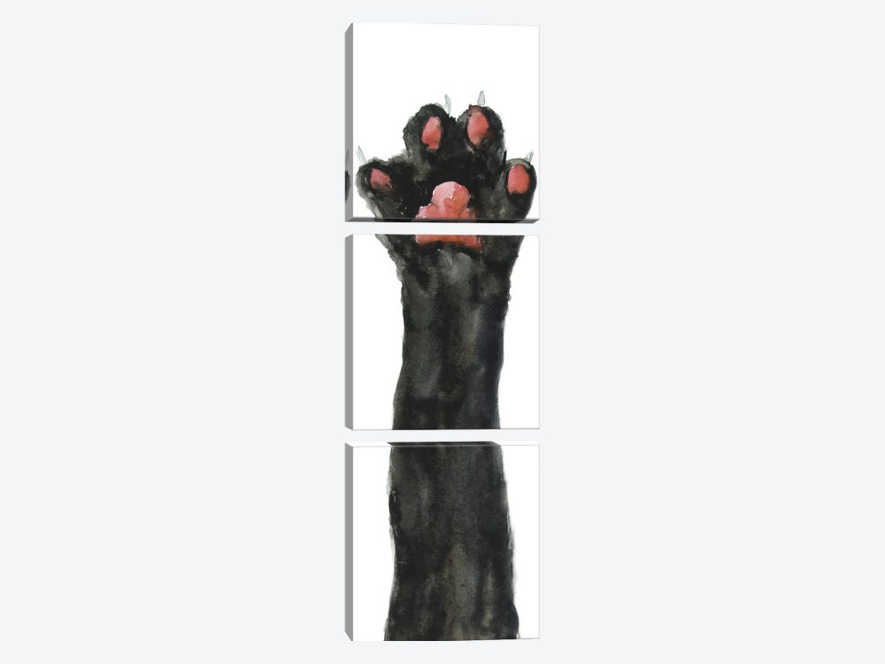 Black Cat Paw by Alexey Dmitrievich Shmyrov 3-piece Canvas Art