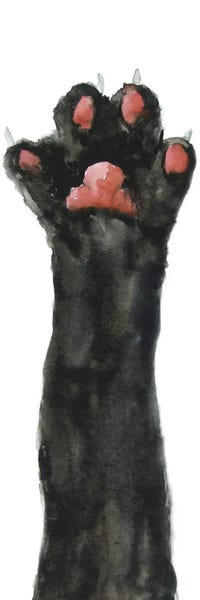 Black Cats: Black Cat Paw by Alexey Dmitrievich Shmyrov