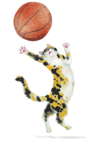 Kids Sports Art: Basketball Calico Cat by Alexey Dmitrievich Shmyrov