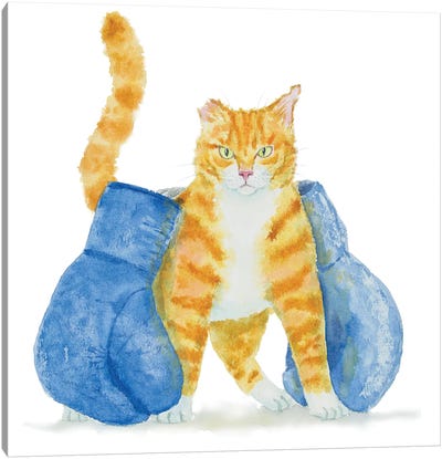 Boxer Orange Cat Canvas Art Print - Boxing Art