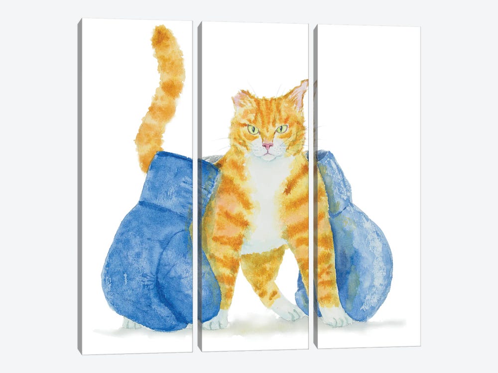 Boxer Orange Cat by Alexey Dmitrievich Shmyrov 3-piece Canvas Art