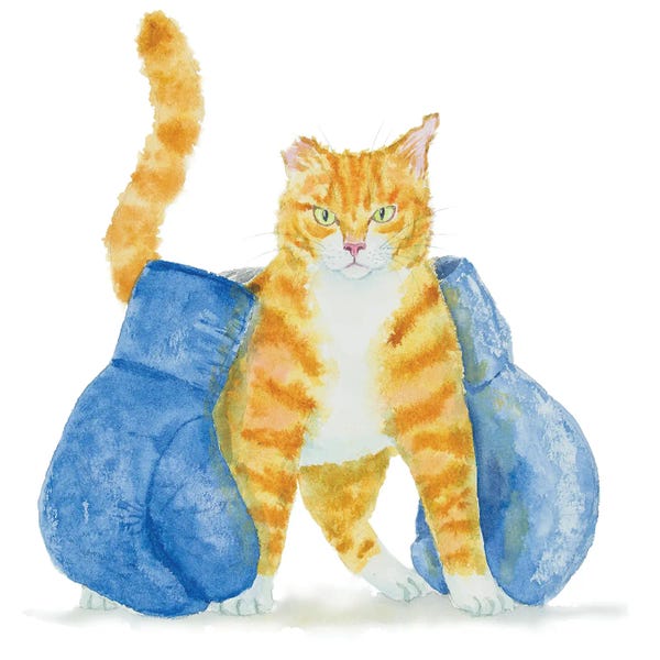 Orange Cats: Boxer Orange Cat by Alexey Dmitrievich Shmyrov